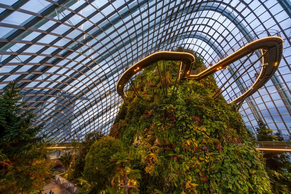 Singapore Garden Festival Reveals 8m-High Roller Coaster — And the Economic Bet Behind It