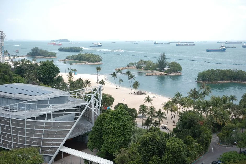Singapore Unveils First Cross Island Line Train — Testing Set to Commence