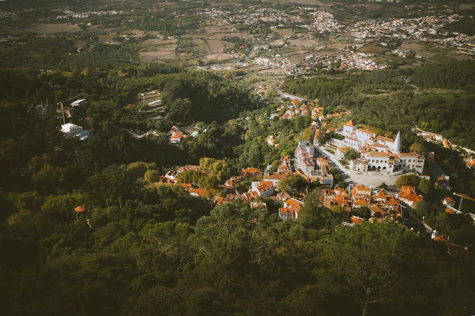 Sintra Debts Dismissed by Educational Institution — Economy Business