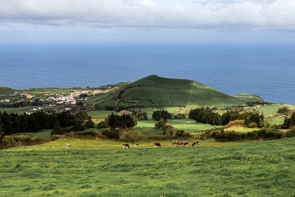 Sismo Jolts Terceira Um, Raises Concerns Over Economic Stability — Economy Business