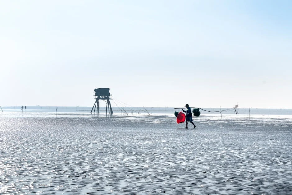 South Africa Seizes Four Chinese Vessels - What This Means for Fishing Markets