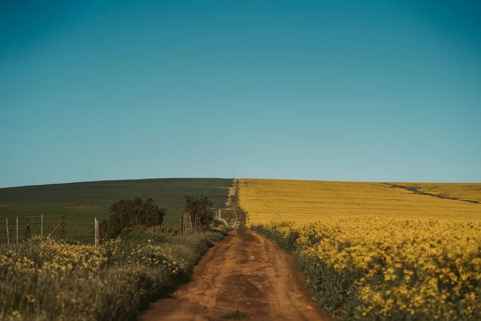 South Africa Unlocks China’s Rooibos Market — Prices Surge — Economy Business