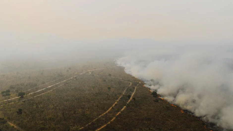 South Africa's Statue Debates Spark Economic Uncertainty — Economy Business