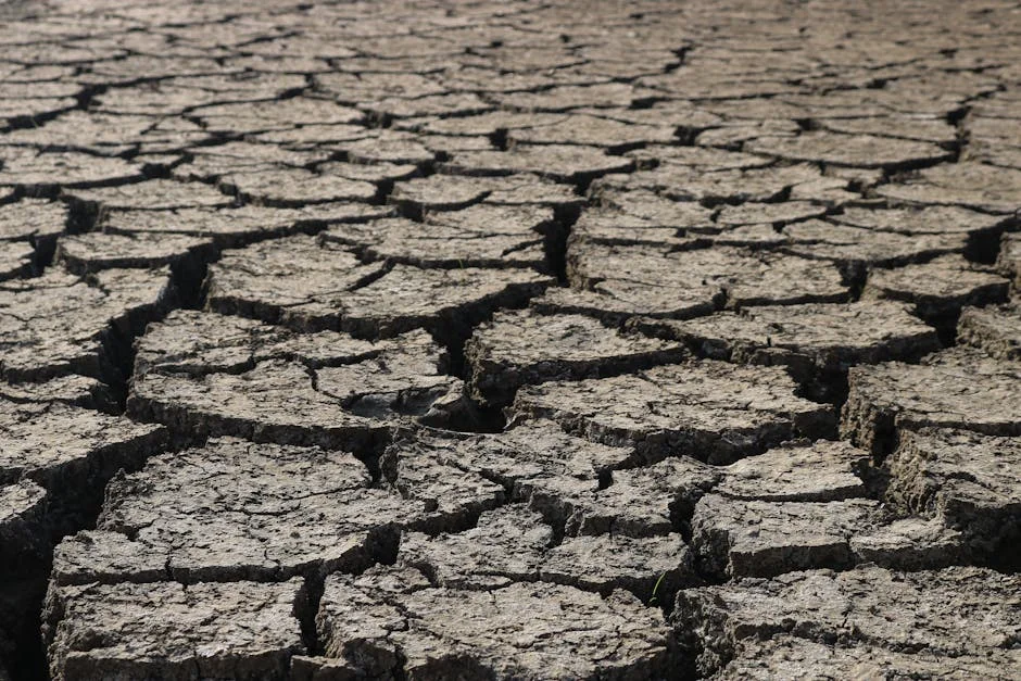 South Sudan Clashes Spark Famine Fears — and Global Market Worries — Politics Governance