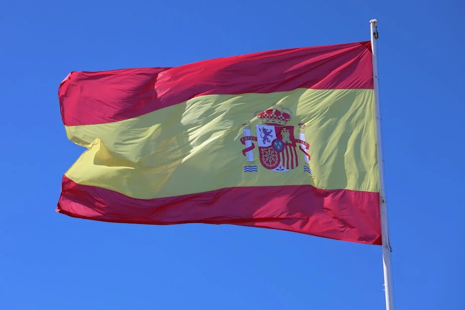 Spain's Competition Authority Launches Investigations Amid Fears of Market Distortion — Economy Business