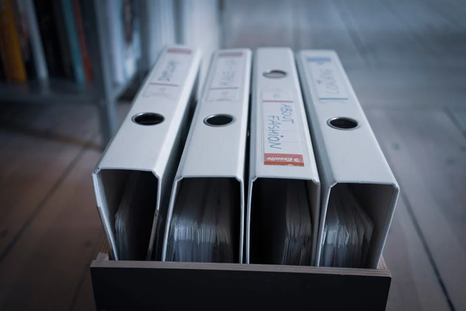 Springboks' Forgotten Stars Challenge Rassie's Leadership — Economy Business