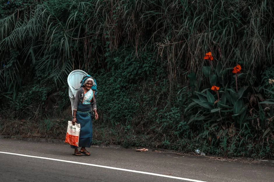 Sri Lanka Prepares for Repatriation of 84 Iranian Sailor Bodies — Economy Business