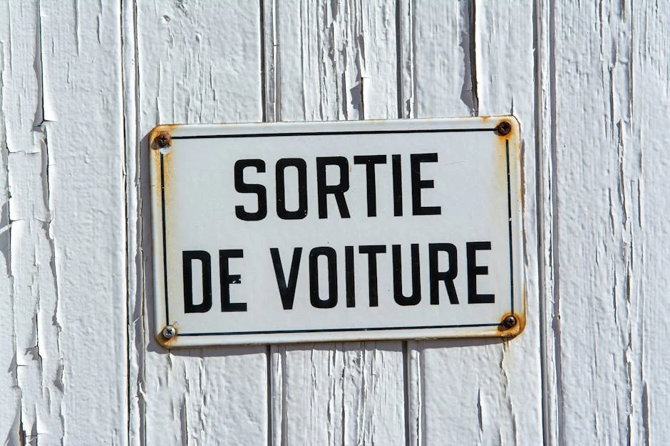 Survivors in Congo Face Deadly Threats as Upemba Park Attacked — Economy Business