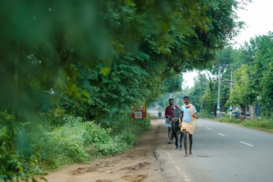 Tamil Nadu's Election Fashion Embraces Gen Z — Markets Watch Style Shift — Politics Governance