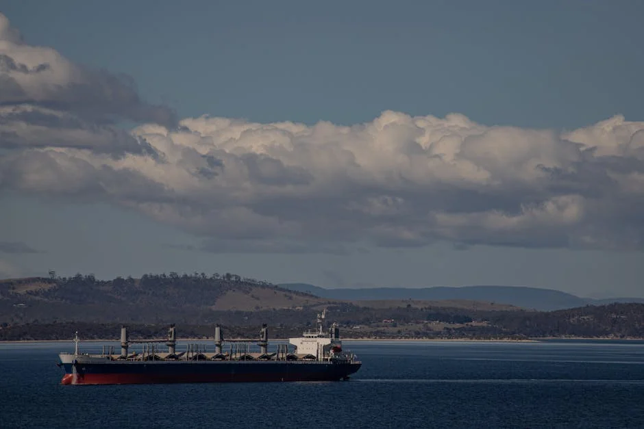 Tasmania Faces Economic Turmoil as Heavy Flooding Disrupts Local Businesses — Sports