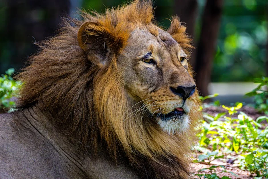 Telangana Health Crisis Sparks Market Concerns — Health Medicine