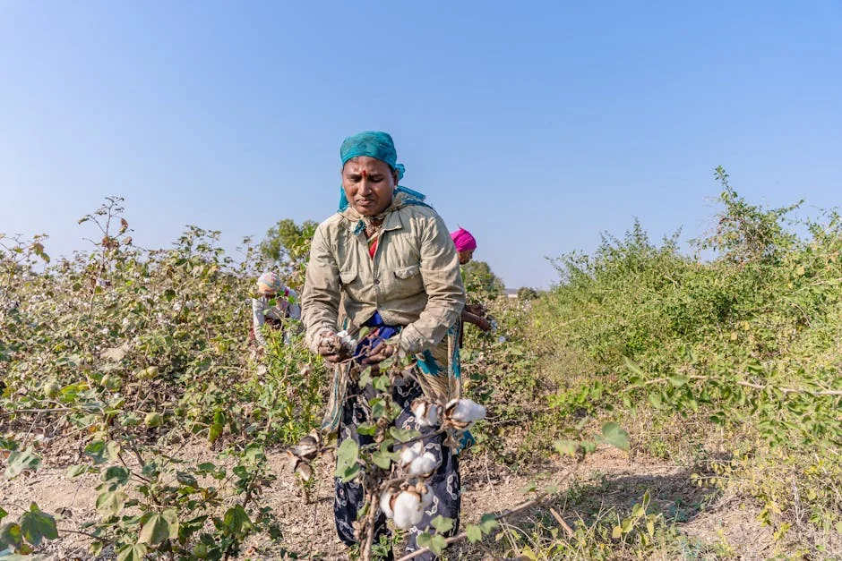 Texprocil Denies U.S. Claims on India's Cotton Textiles — Economy Business