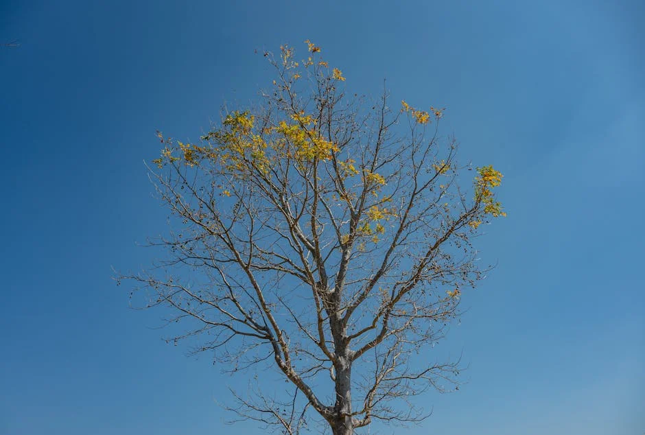 Thailand Reaches Deal with Tehran Over Strait of Hormuz — Tensions Ease — Economy Business