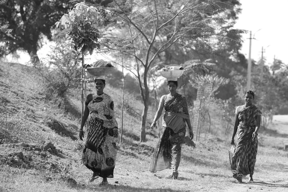 Three Smugglers Arrested with 574kg Ganja in Sangareddy, Worth ₹2.87 Crore — Economy Business