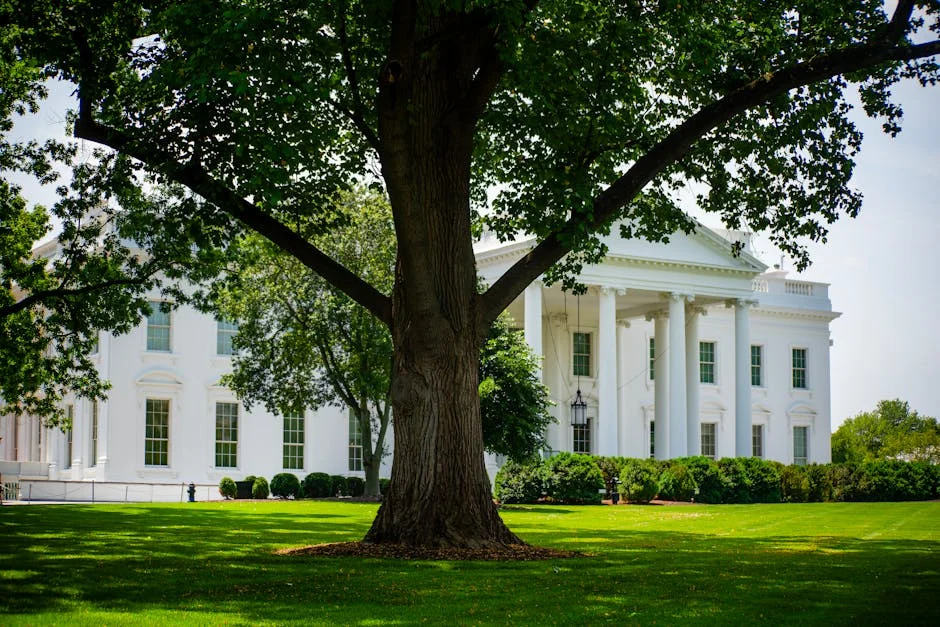 Trump Aides Clash Over Next Steps, Jolting Markets — Economy Business