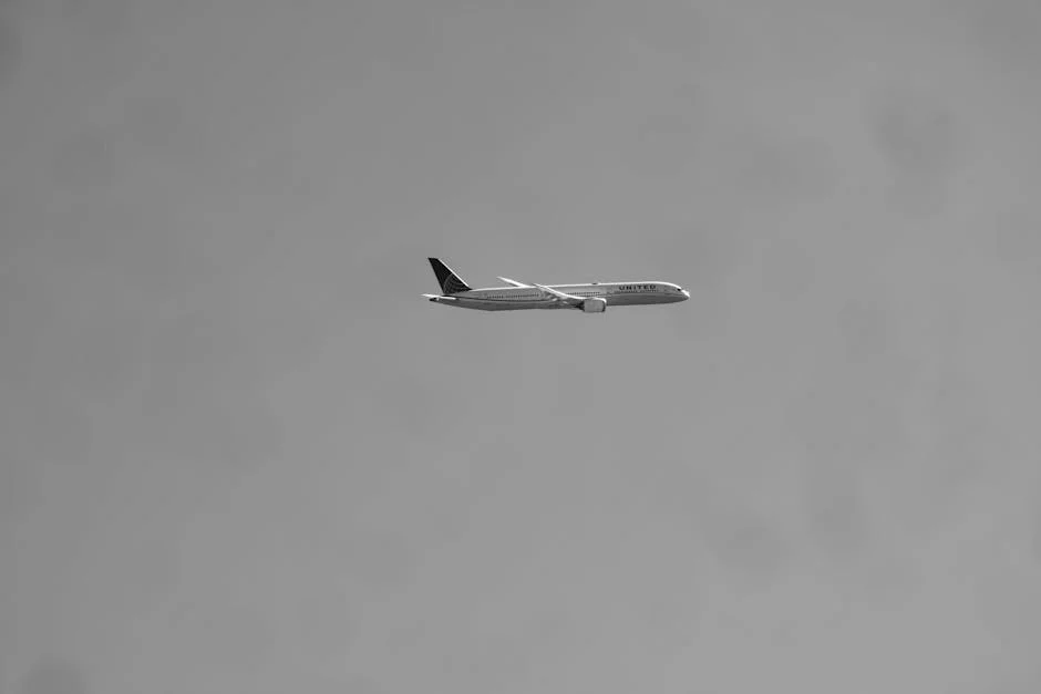 United Nigeria Airlines Suffers Major Disruption After Bird Strike