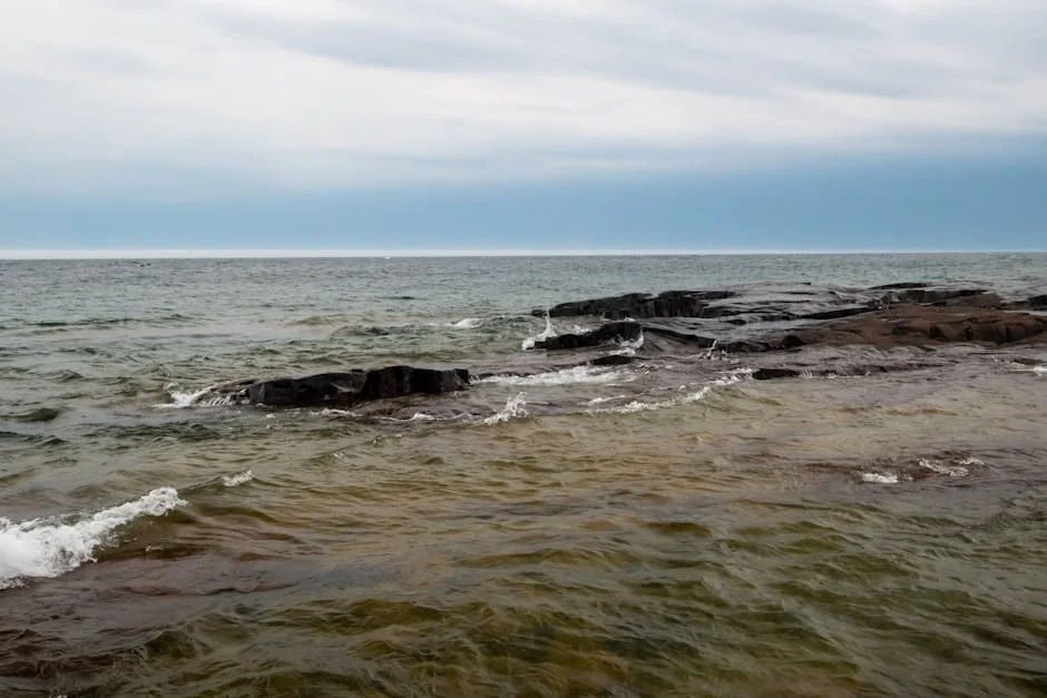 Volvidos Boosts Higher Education Innovation With New Guidelines — Economy Business