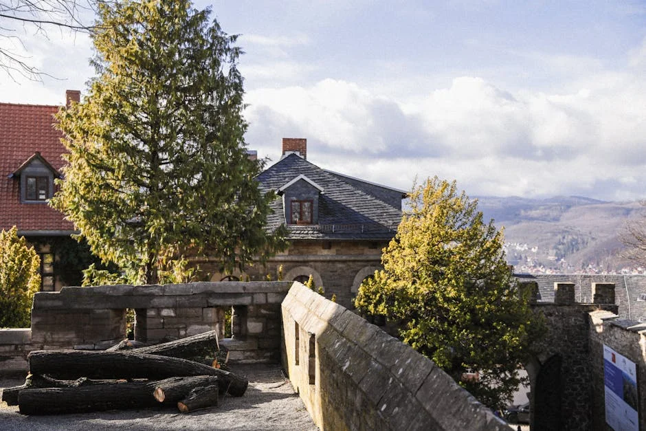 Wolfsburg Collapses in 3-6 Loss to Leverkusen Amid Bundesliga Struggles — Culture Arts