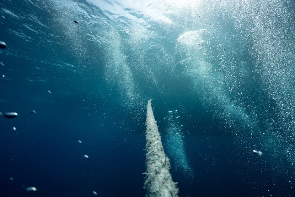 Wyatt Russell Dives Into Lake Erie Over Sabres Bet — Economy Business