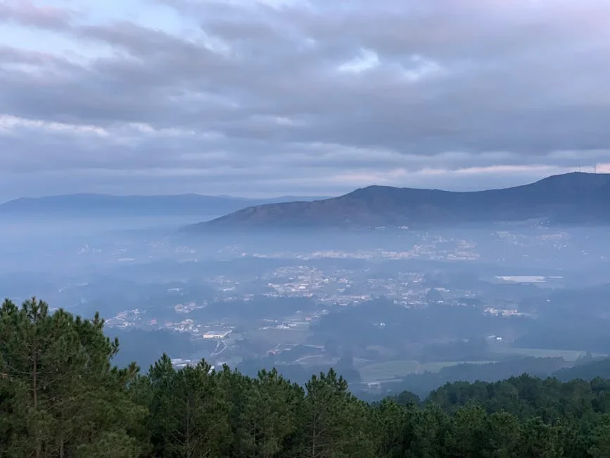 Why Minho Diário is Essential Reading — Advertorial